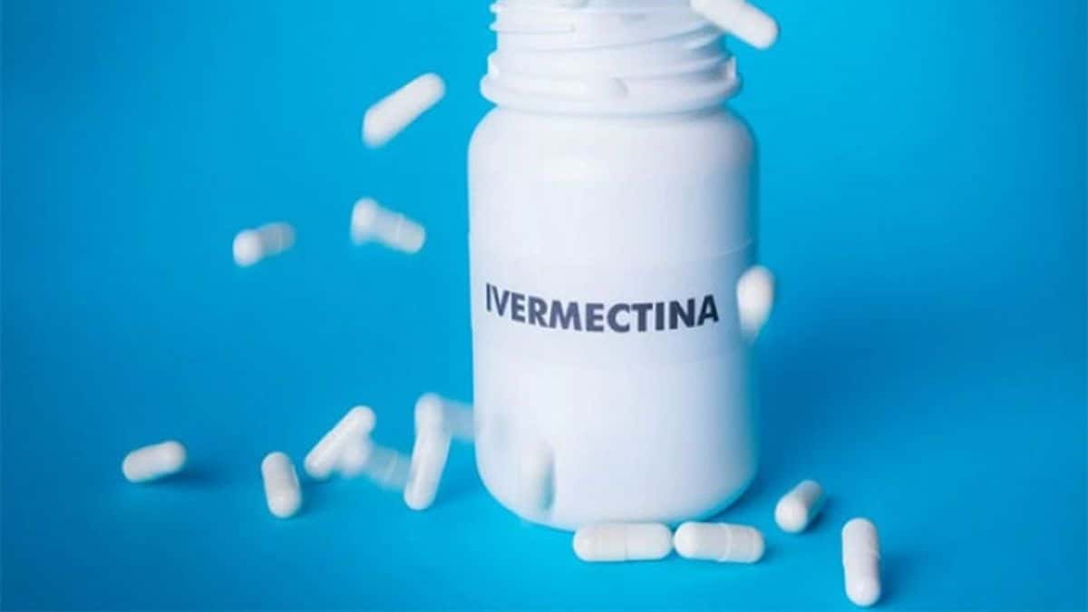 Estudio argentino publicado internacionalmente: La ivermectina sería eficaz en el tratamiento contra el Covid-19