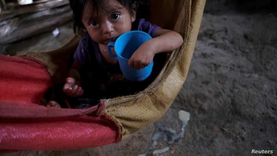 ONU: el hambre y la desnutrición aumentaron durante la pandemia