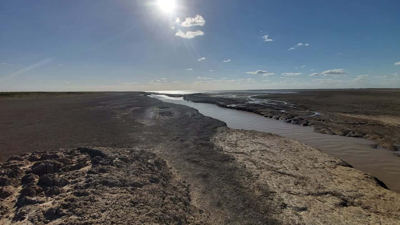 El río Paraná continúa bajando y se acerca a niveles históricos