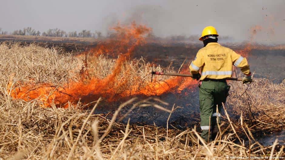 Operativos para el combate de incendio en el Delta