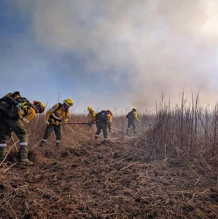 Entre Ríos registra un foco activo de incendio en Victoria