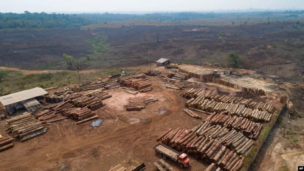 Deforestación de la Amazonía brasileña, la peor en 15 años