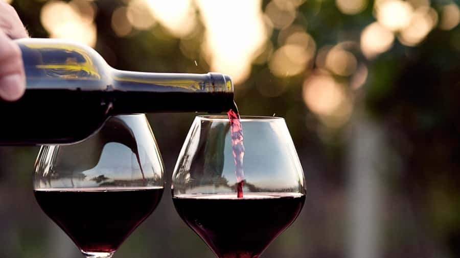 La vitivinicultura argentina concluye el año con números positivos