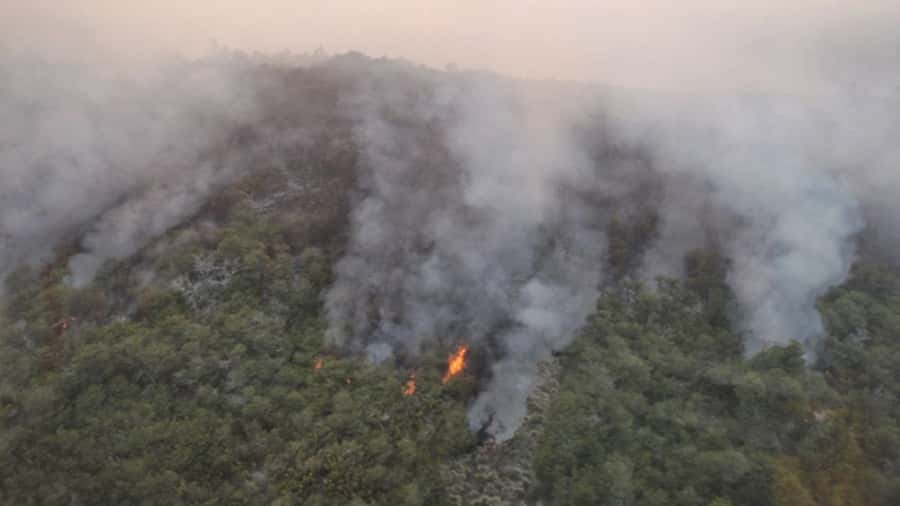 Cinco provincias registran focos activos de incendios forestales