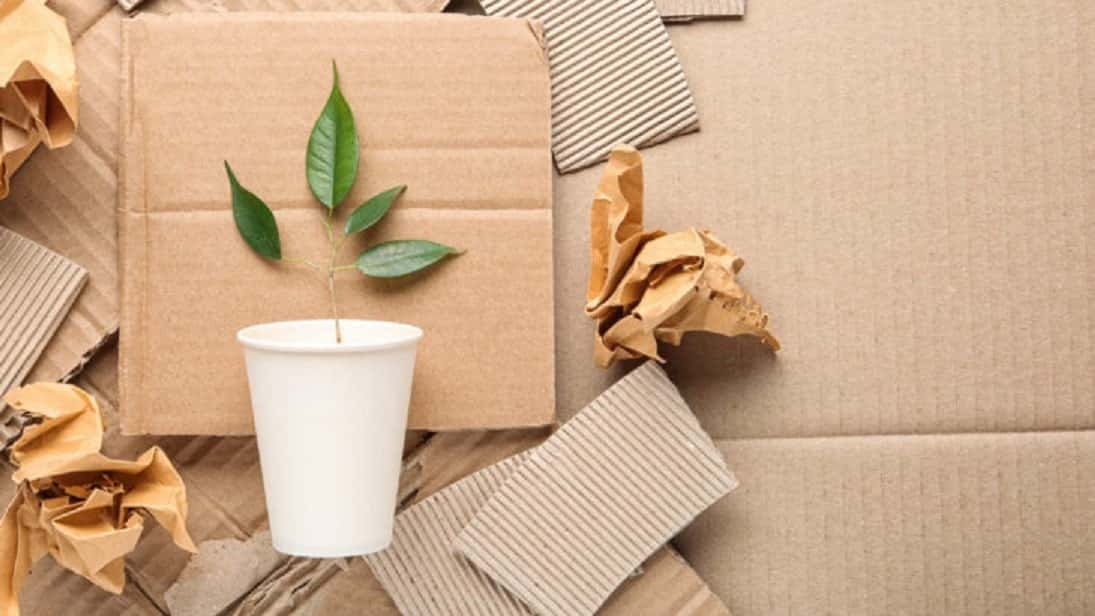 Reciclaje de empaques de papel y economía circular