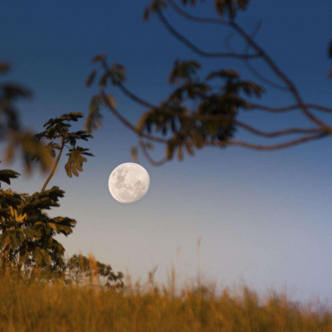 La Luna será la protagonista este sábado en el Observatorio de Oro Verde
