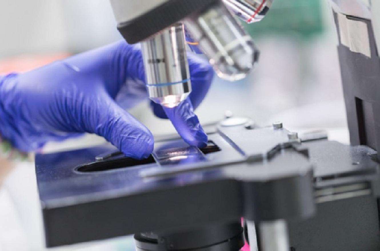 Anatomopatólogos entrerrianos advierten sobre graves irregularidades en el estudio de muestras patológicas