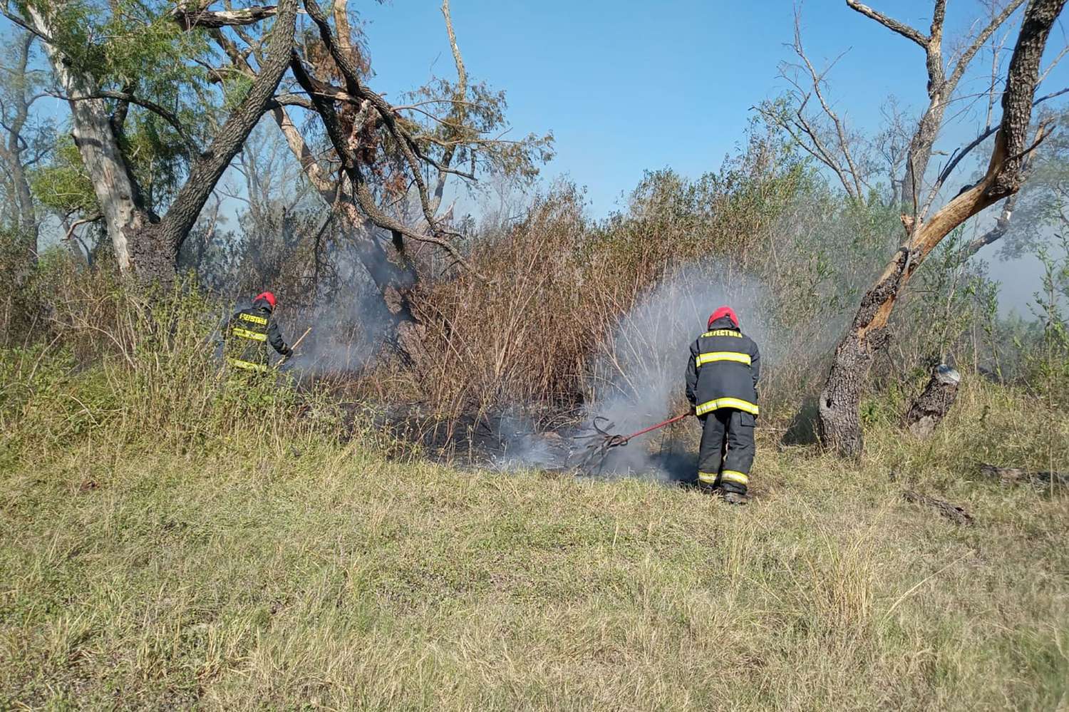Brigadistas combatieron incendios del Delta en Victoria