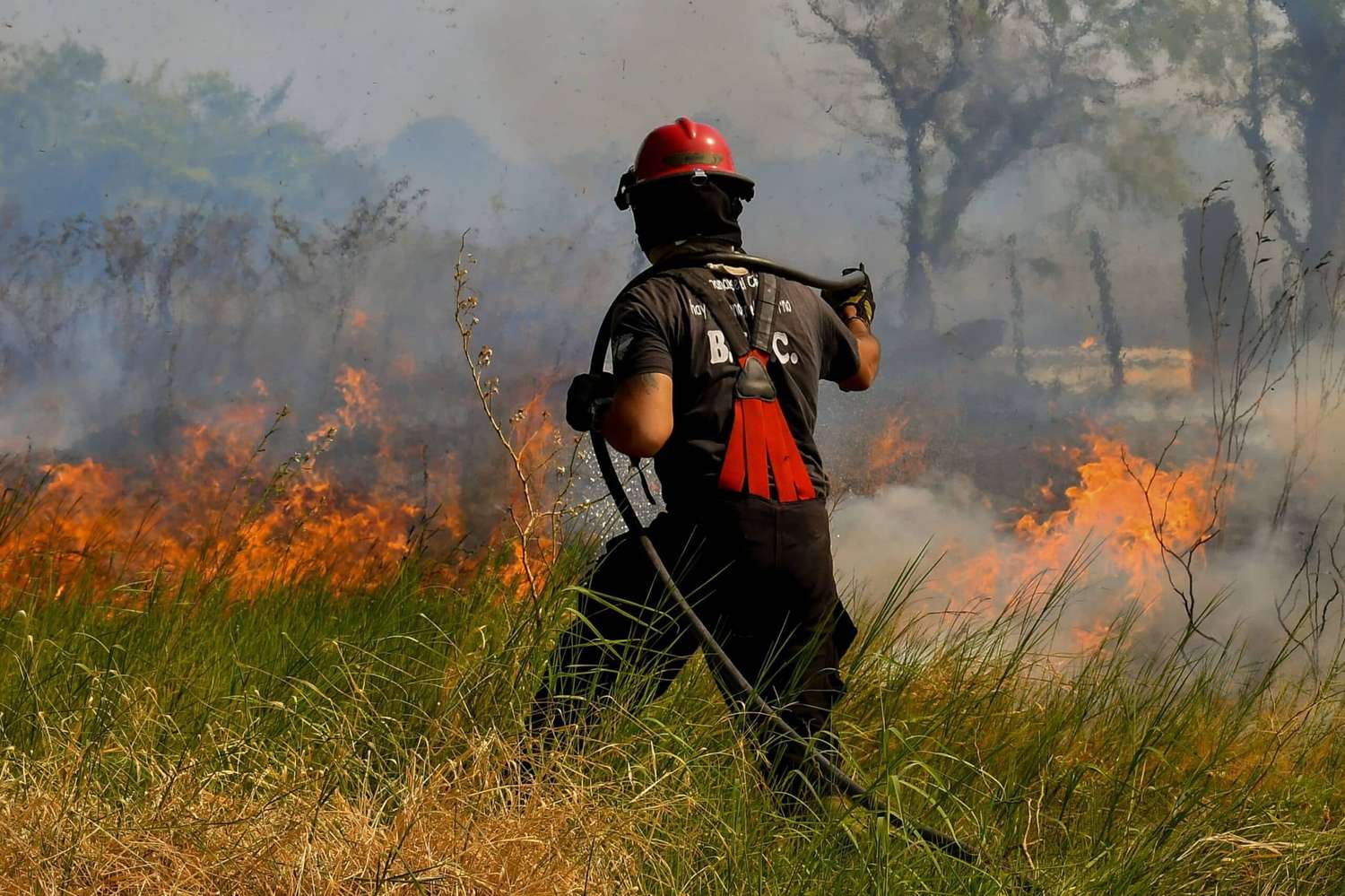 Por los incendios, declaran a Corrientes como «zona de catástrofe ecológica y ambiental»