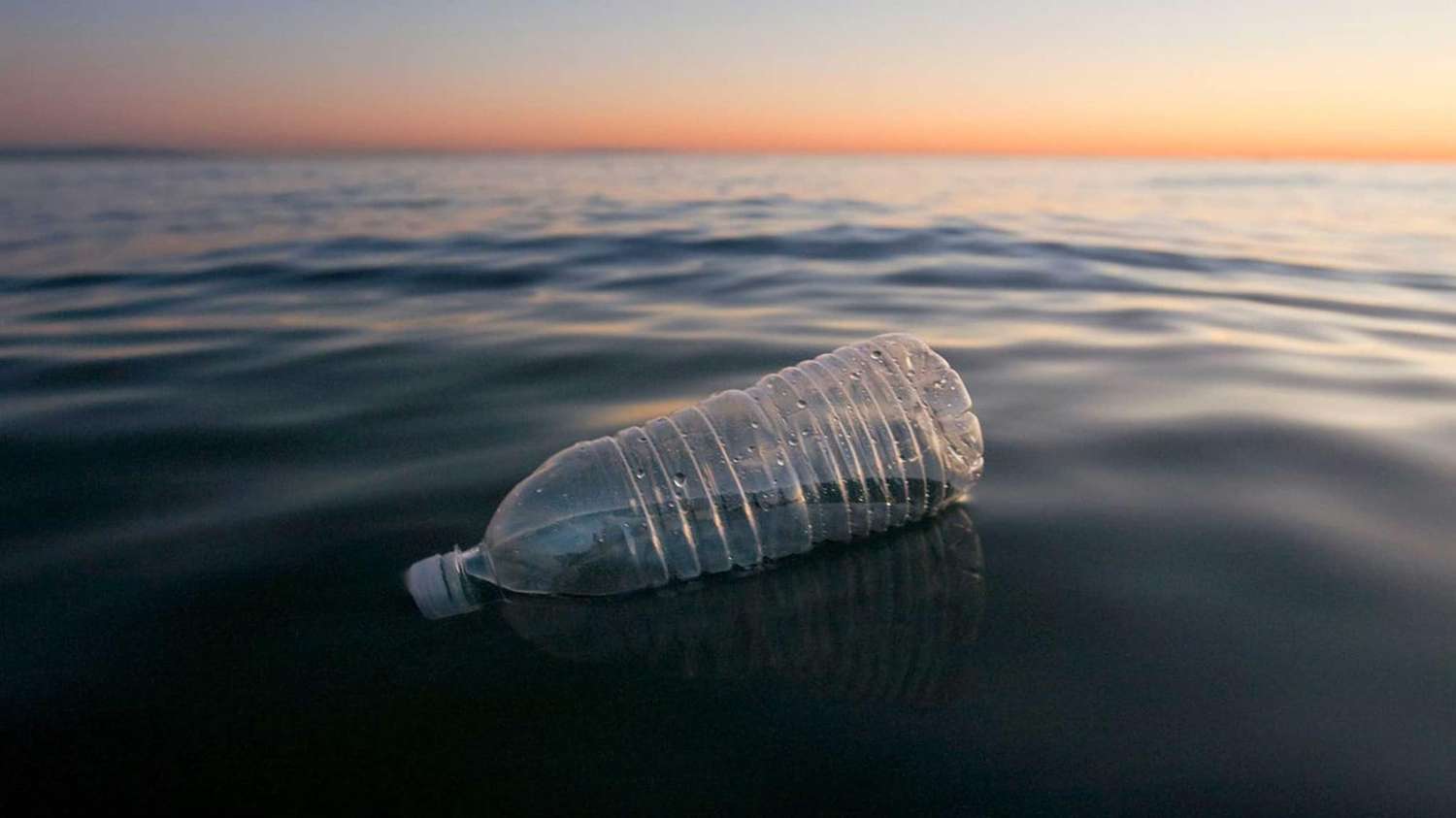 Ocho países de América Latina combatirán juntos la basura marina y los residuos plásticos