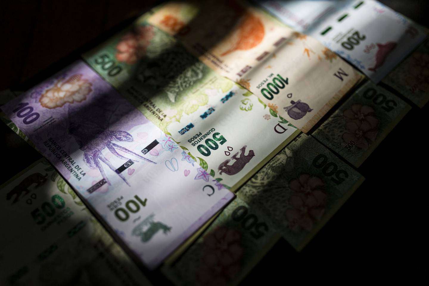 Cómo evitar las falsificaciones ahora que habrá 17 versiones distintas de billetes en circulación