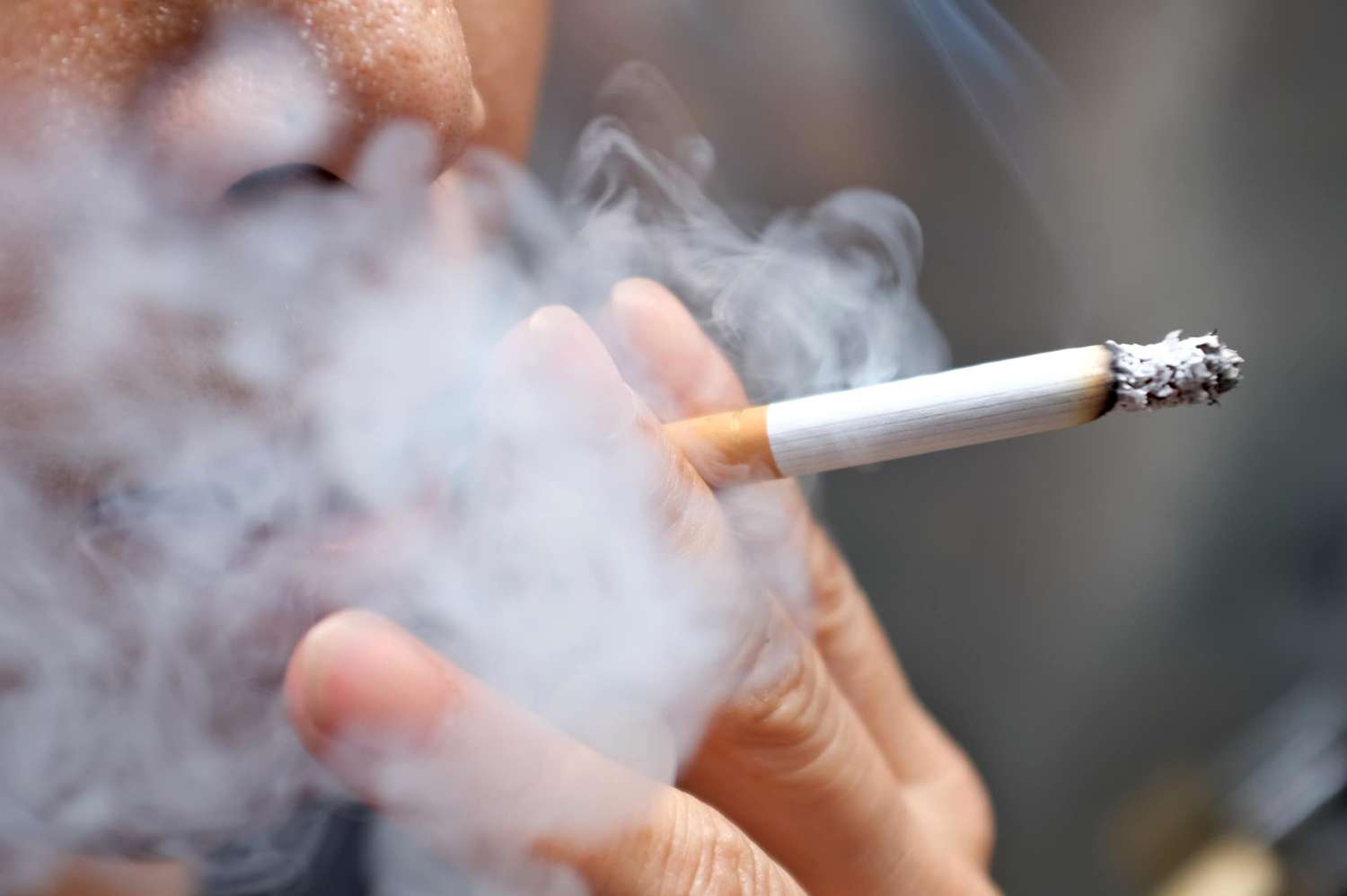 Organizaciones de todo el mundo enfatizan sobre los daños del tabaco al ambiente