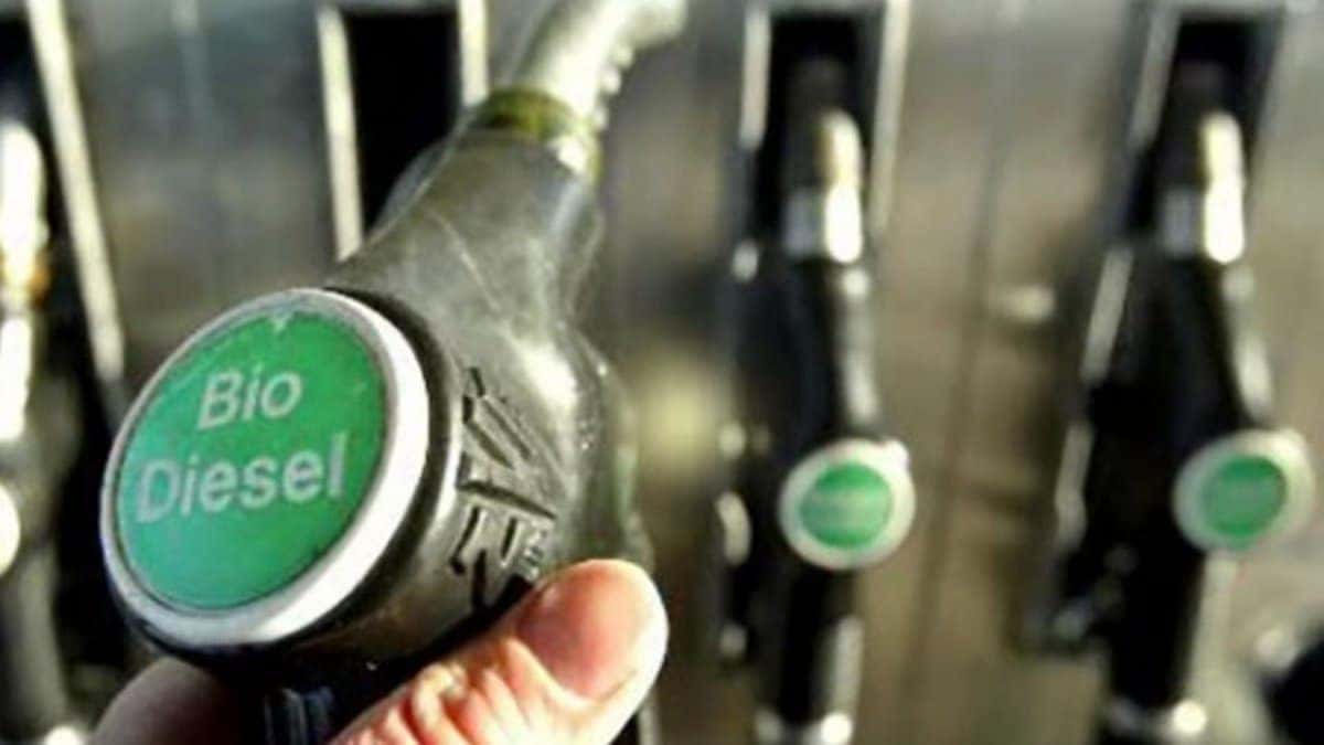 Ya está vigente el corte de biodiesel para el gasoil: los detalles del decreto que lo autoriza