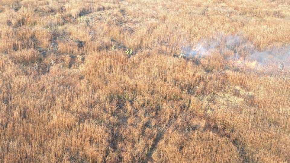 Ambientalistas vuelven a protestar por los incendios en el Delta