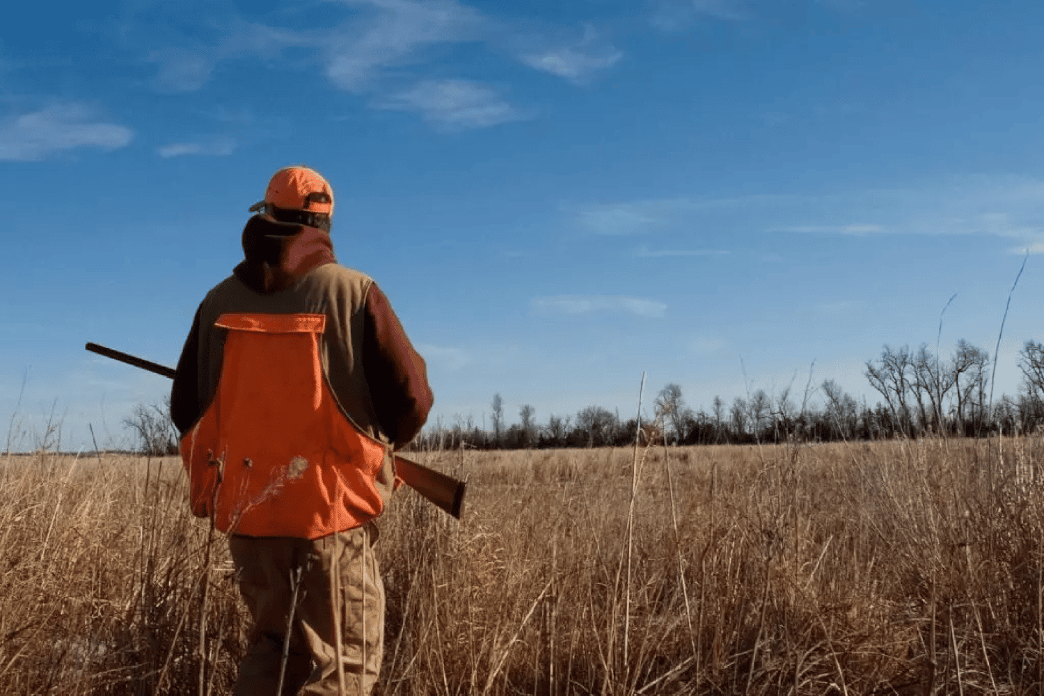 Organizaciones ambientalistas contra la habilitación de la caza