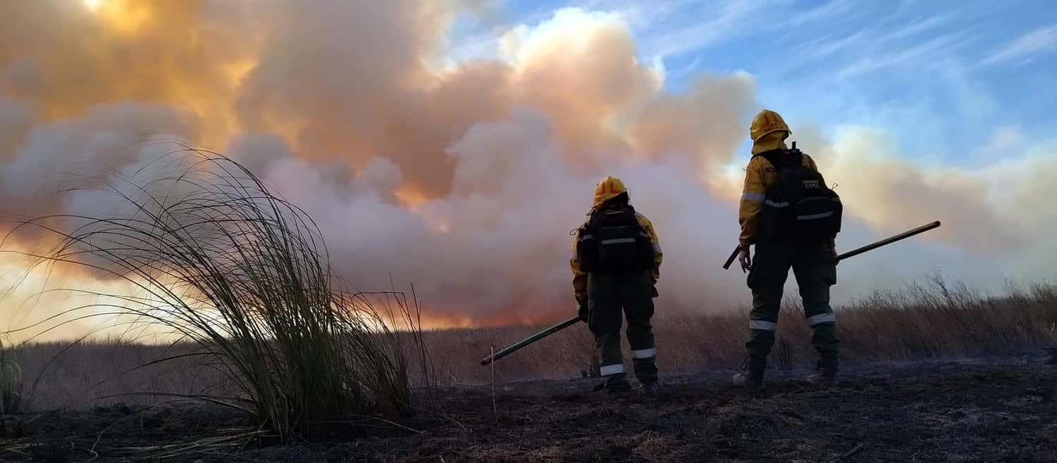El Gobierno provincial está “en alerta” ante la propagación de focos de incendios en las islas del Delta