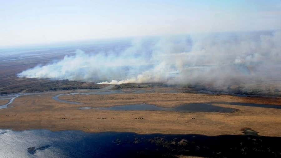 Los incendios no ceden en el delta del río Paraná