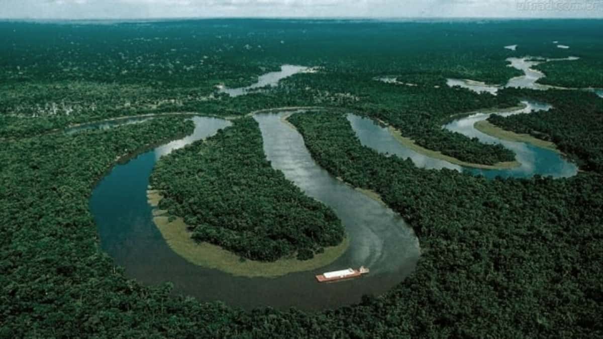 Brasil: un nuevo presidente y una nueva oportunidad para salvar la Amazonia