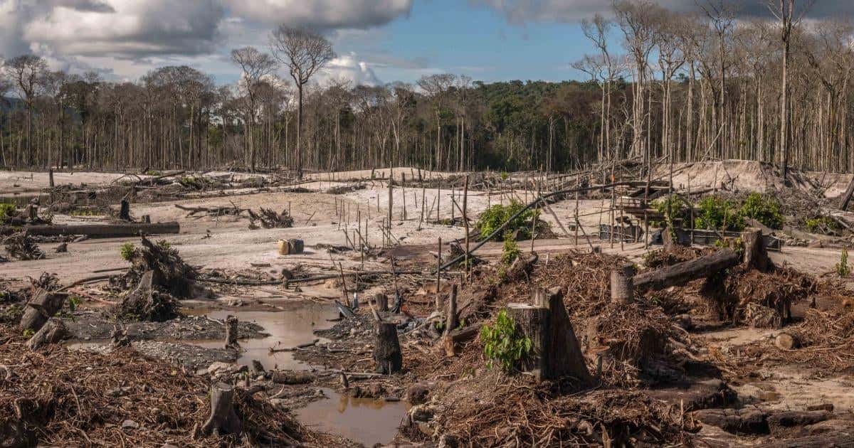 HRW insta a Lula a desarrollar «medidas concretas» para proteger la Amazonía
