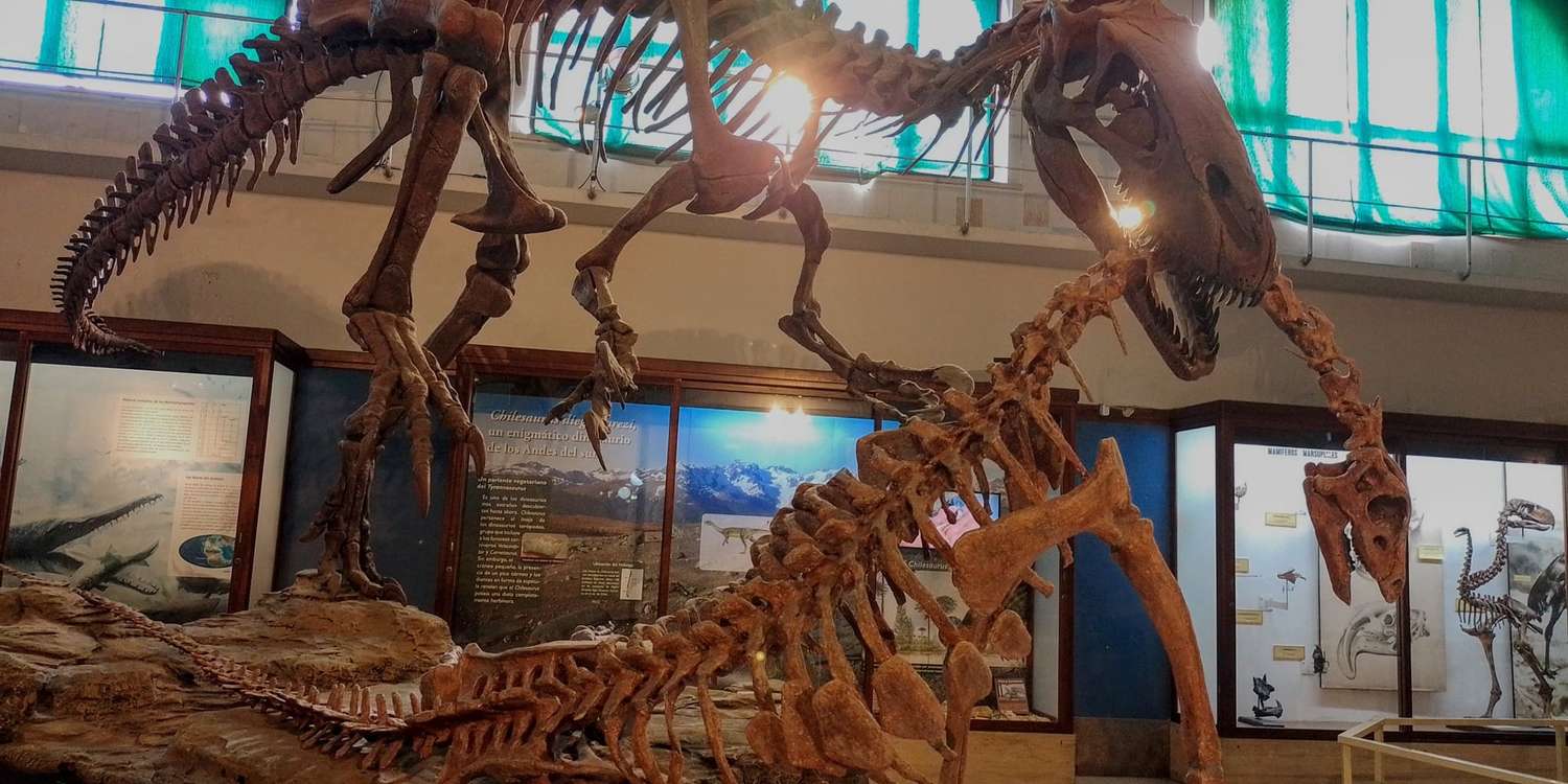 Las 50 mejores noticias de la paleontología en Argentina