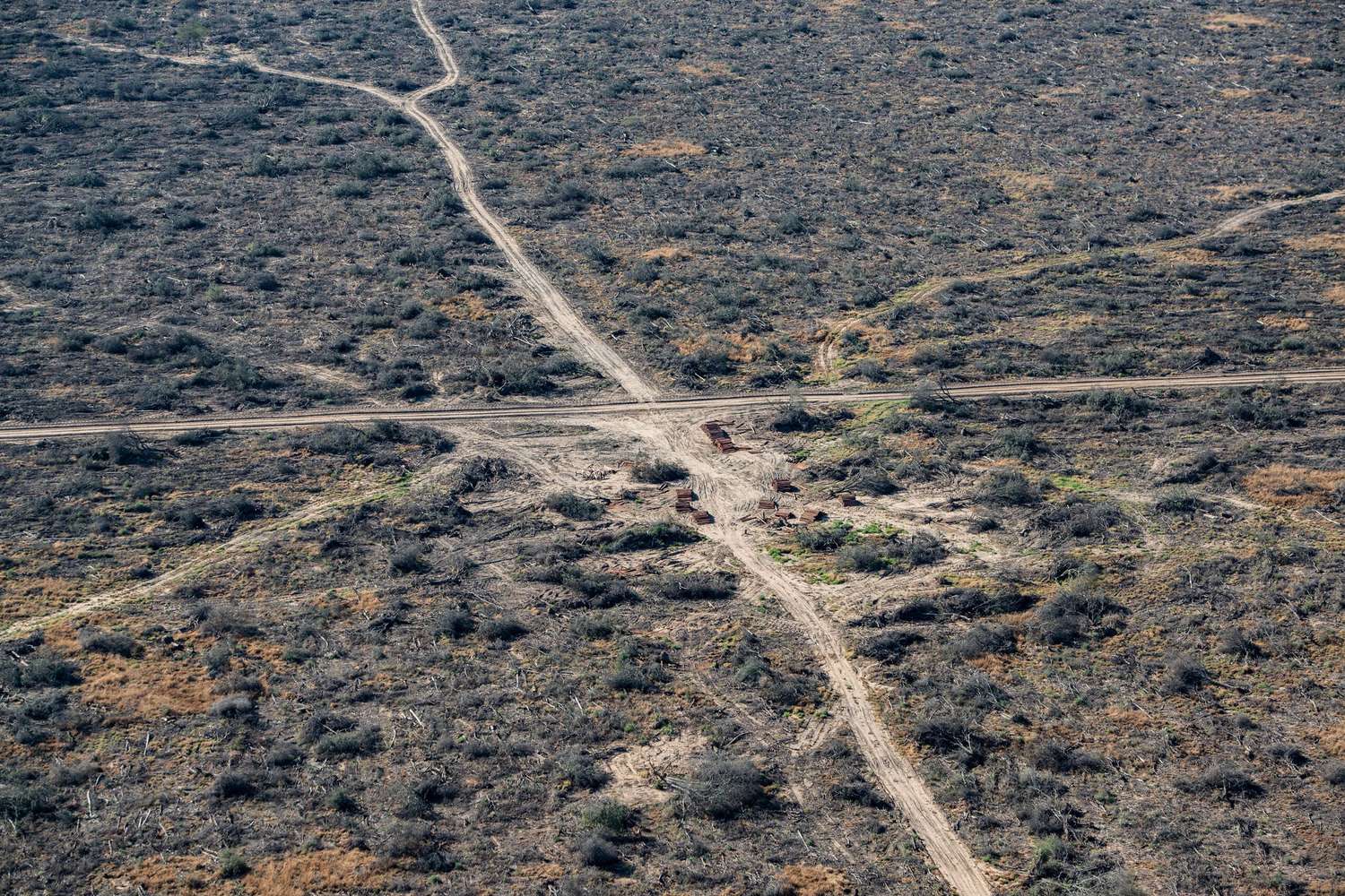 Alerta por la deforestación en el Gran Chaco, el segundo pulmón verde de Sudamérica