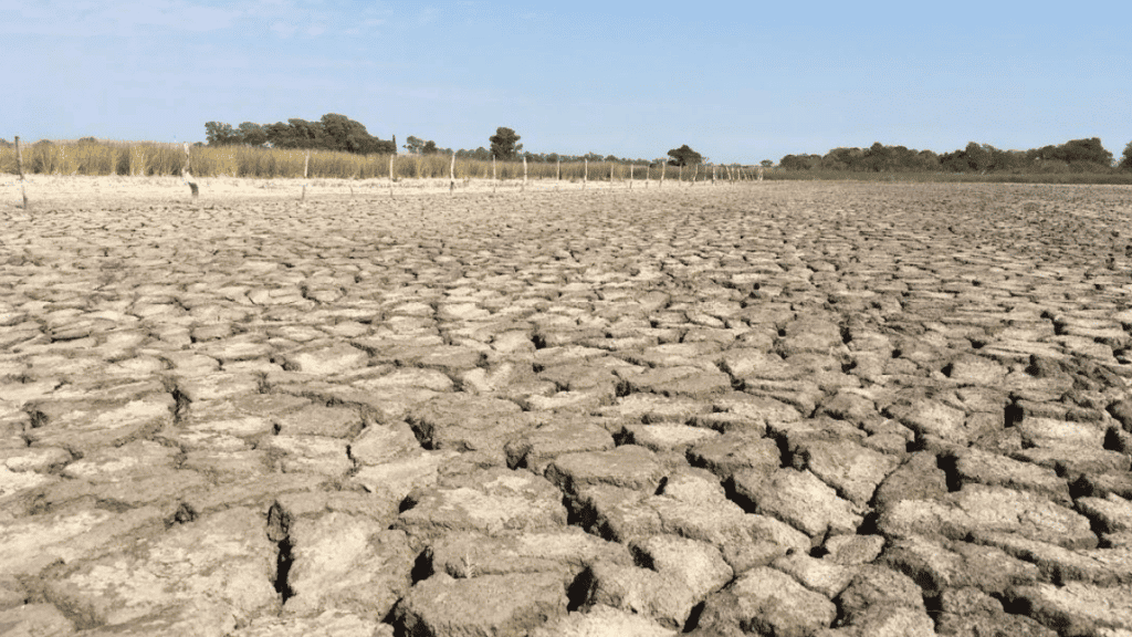 La sequía debiera servir para repensar las políticas agropecuarias