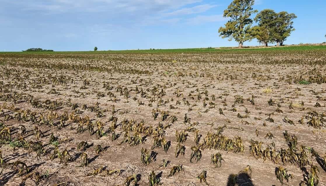 La situación de sequía en la provincia de Entre Ríos