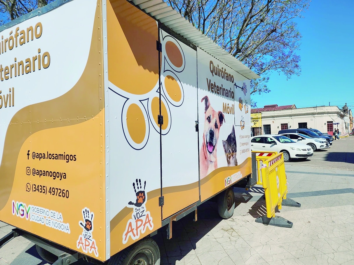Concientizan por un uso responsable de la pirotecnia y la castración de mascotas