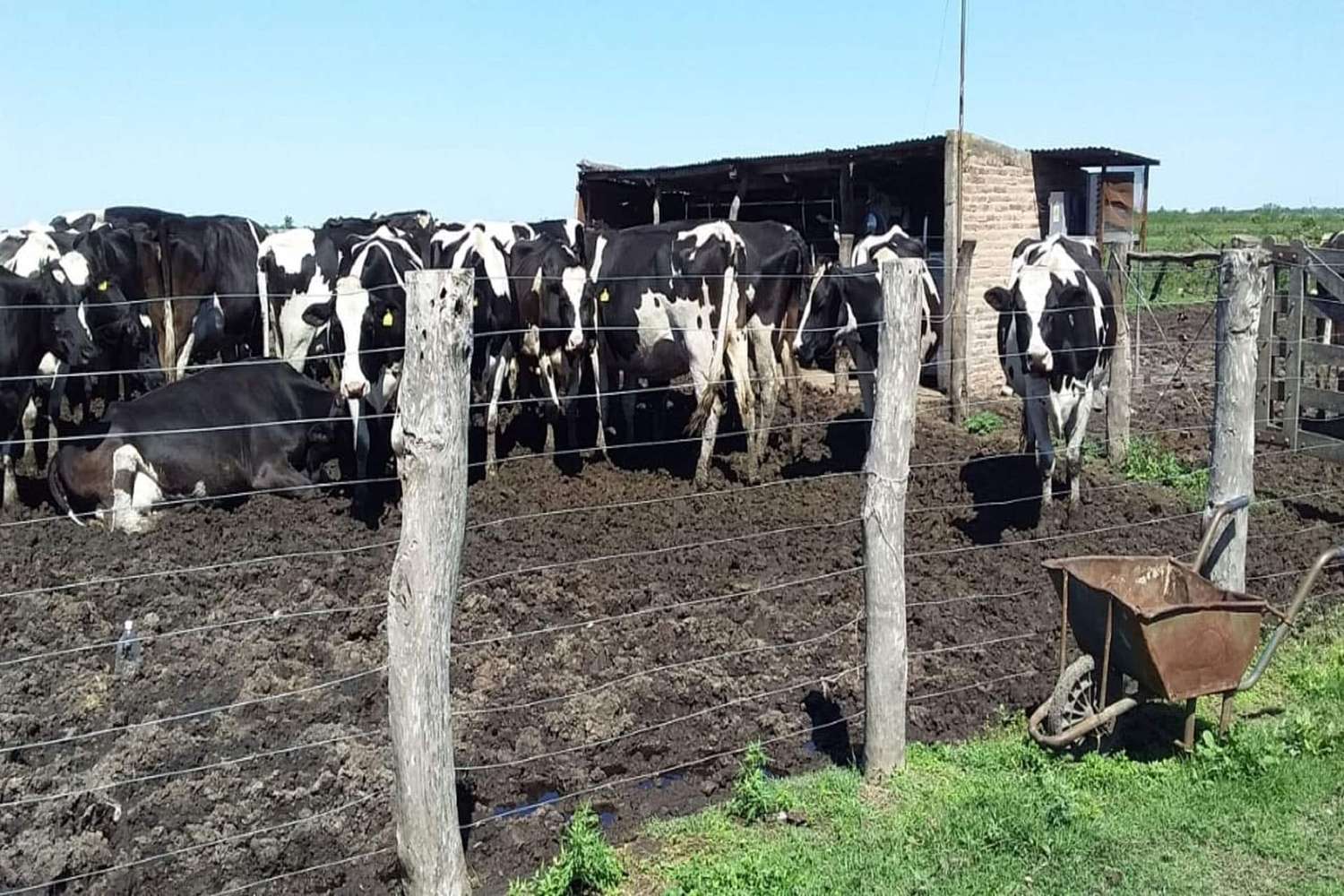 La provincia convocó a las organizaciones que nuclean a las industrias lácteas ante la emergencia generada por factores climáticos