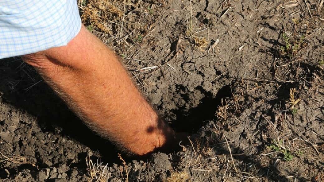 La Federación Agraria de Entre Ríos se reunirá para evaluar el impacto de la sequía