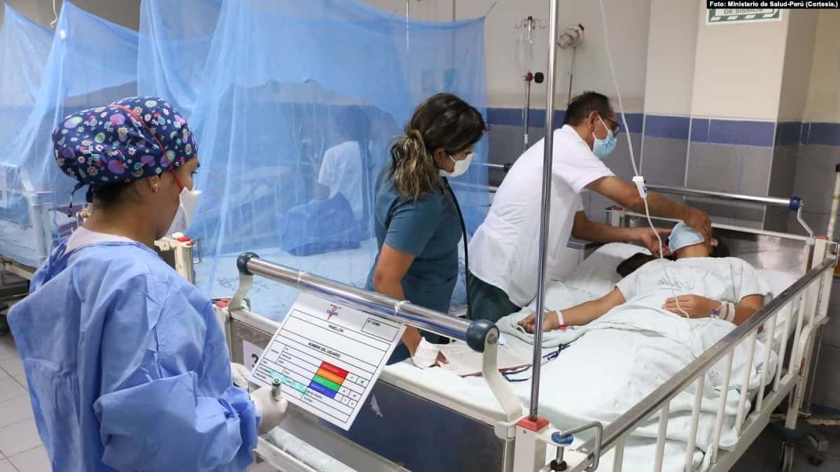 Virus del dengue provoca emergencia sanitaria en Perú