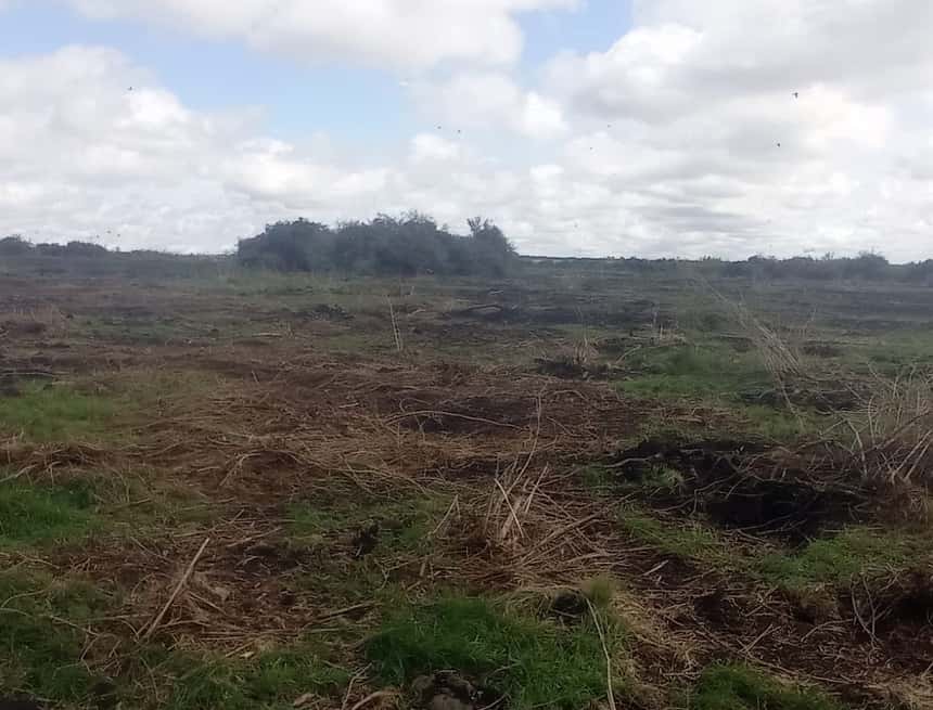 La alarmante pérdida de bosques nativos en la provincia de Entre Ríos