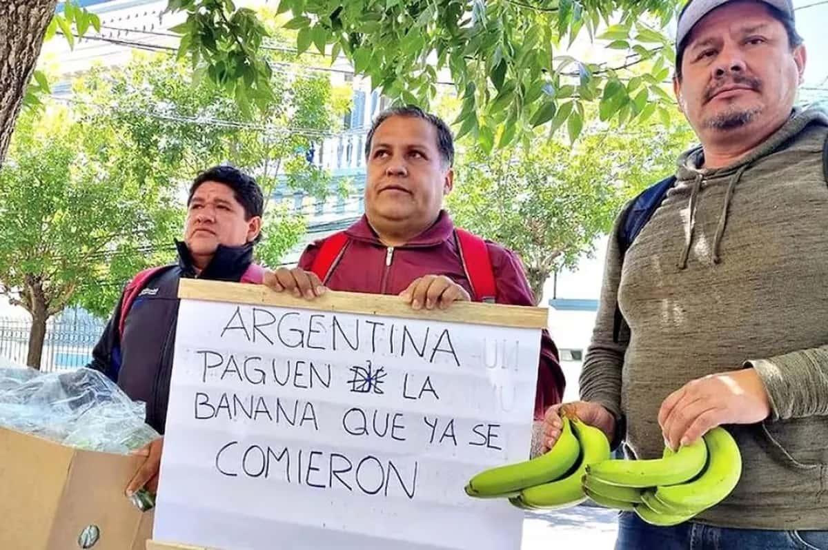 Argentina enfrenta una suspensión en la importación de bananas y ananás debido a deudas acumuladas