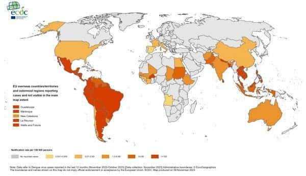 El 2023 se despide con un preocupante aumento en casos de dengue
