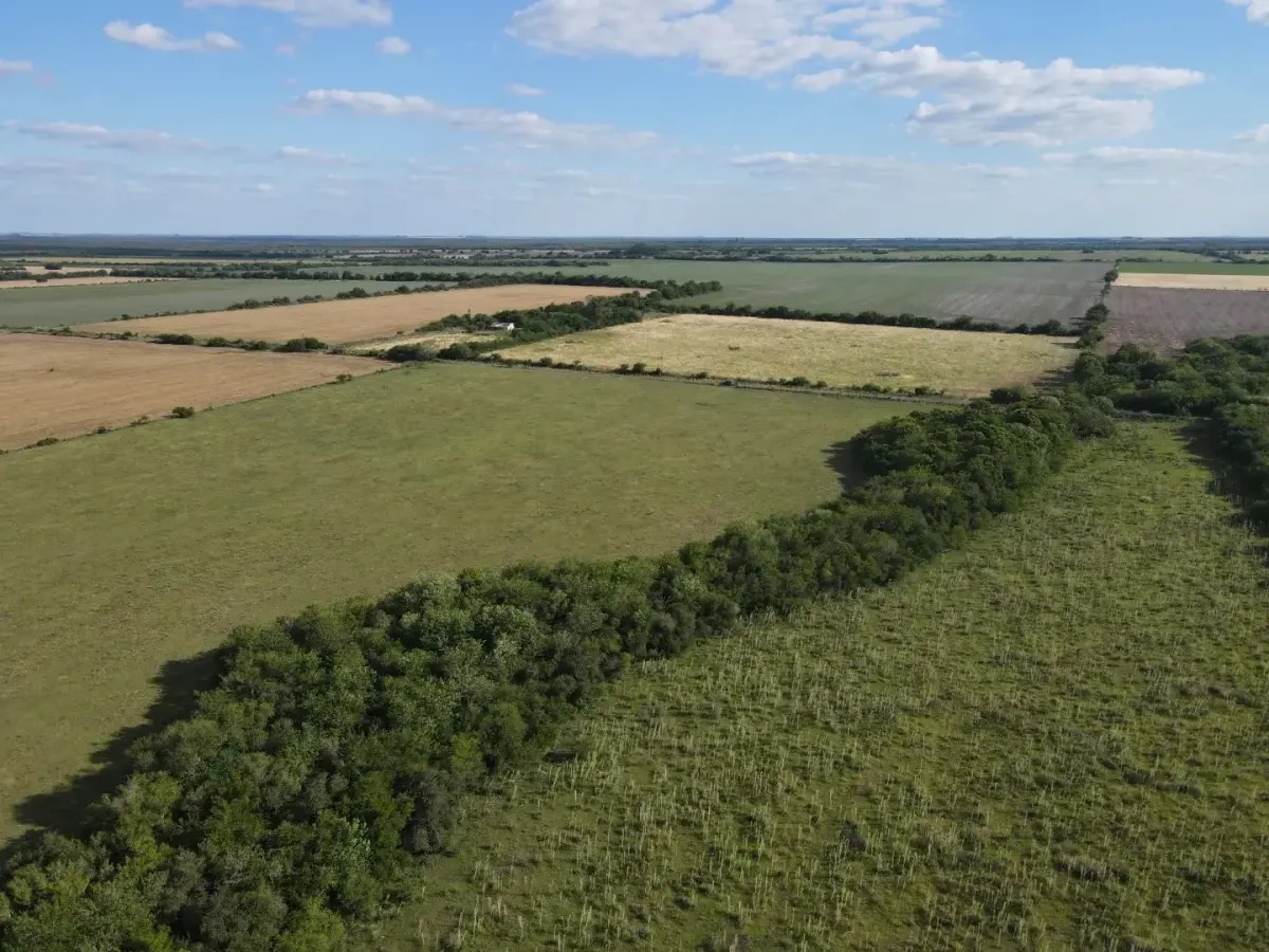 Un informe vuelve a poner en debate la extranjerización de la tierra en Argentina y detalla la situación en Entre Ríos