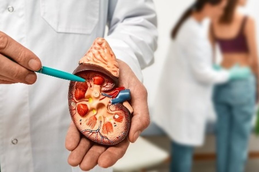 Hipertensión y diabetes: el daño silencioso que puede prevenirse con un simple estudio