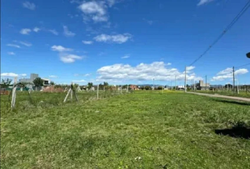 Lotes sociales: Quieren destinar a viviendas 50 parcelas municipales